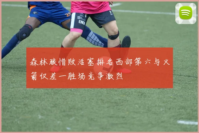 森林狼惜败活塞排名西部第六与火箭仅差一胜场竞争激烈